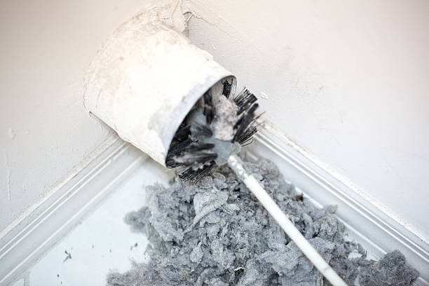 Best HVAC Air Duct Cleaning  in Orange Park, FL